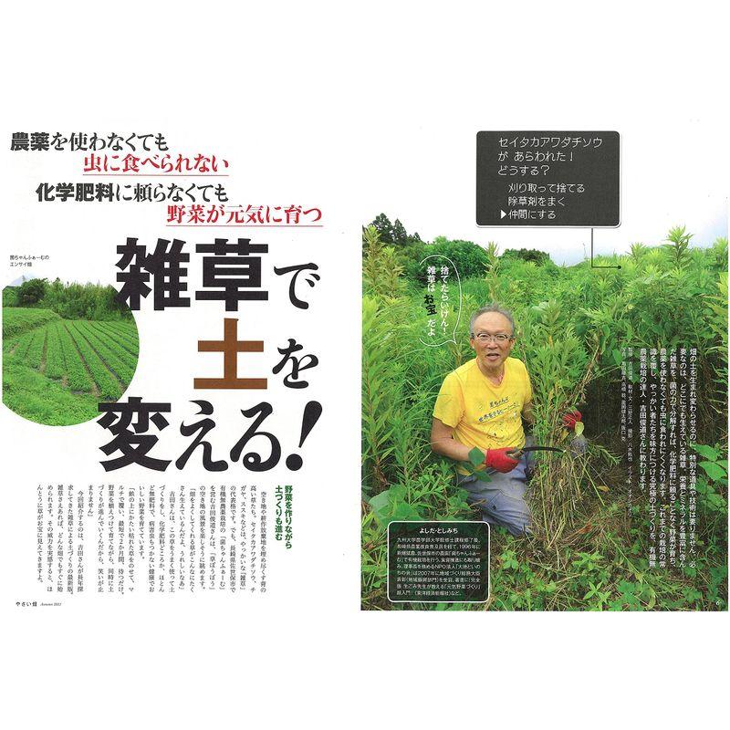 やさい畑 秋号 2021年 10月号