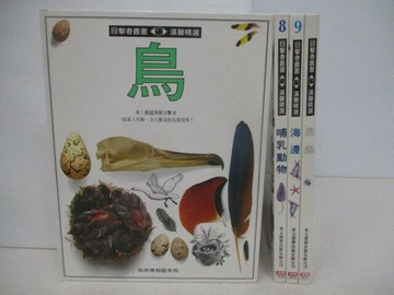 【書寶二手書T1／少年童書_YW2】目擊者叢書-鳥_哺乳動物_海邊_昆蟲_4本合售