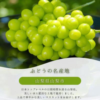 ふるさと納税 山梨市 冬に食べる貴重なシャインマスカット2房約1.1kg以上