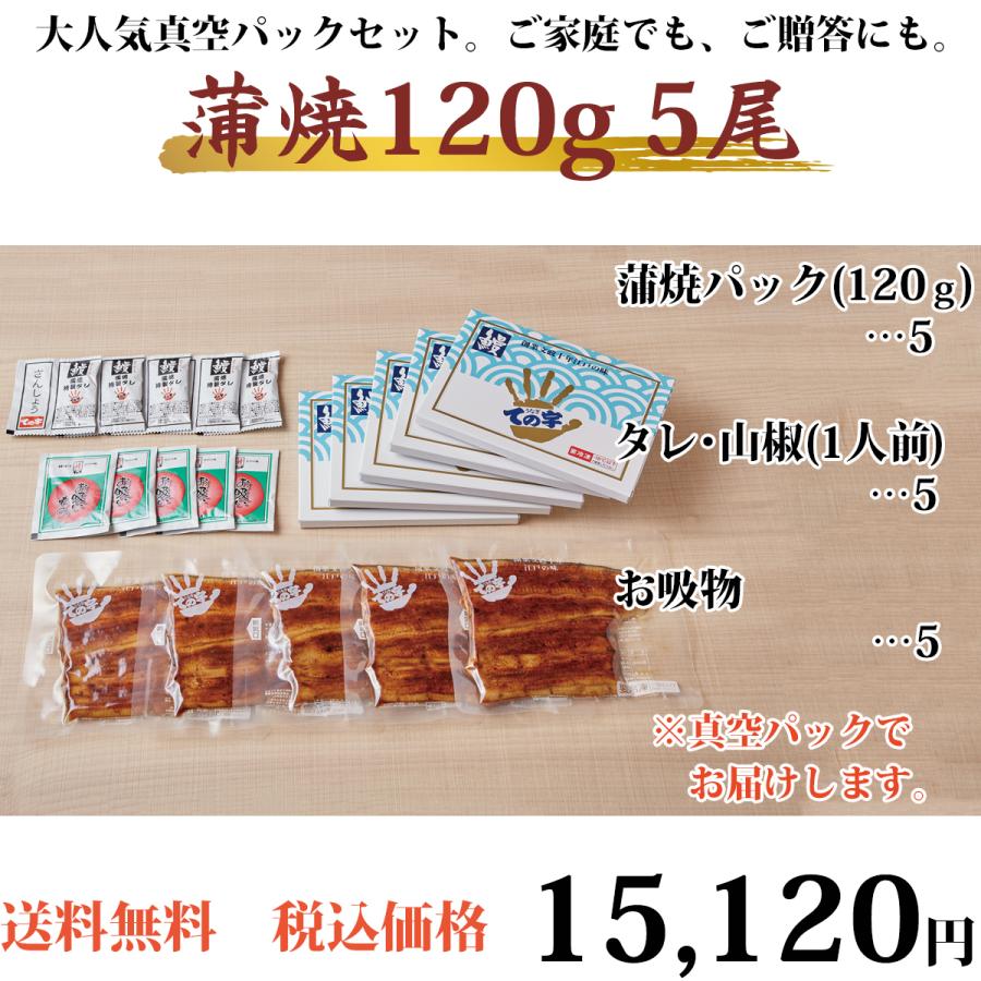 お歳暮 うなぎ 鰻 国産 プレゼント ギフト 蒲焼 120g×5セット ての字 化粧箱入り