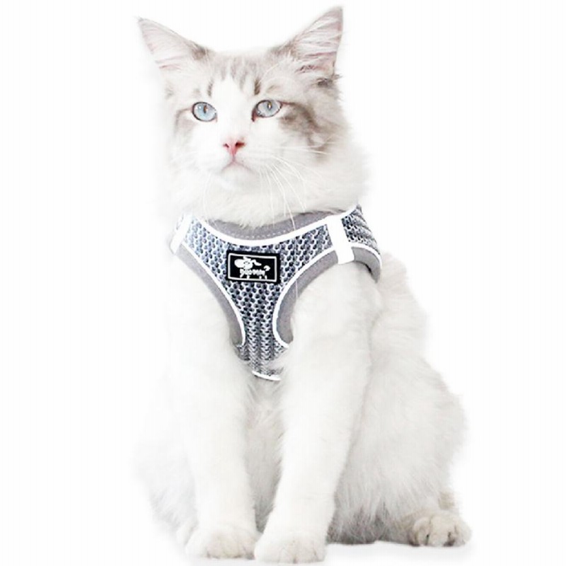 犬 ハーネス リード セット メッシュ 反射 かわいい ペット用品 犬服 猫服 かわいい 安全 脱げない 小型犬 中型犬 散歩 介護用 旅行 お出かけ  通販 LINEポイント最大GET LINEショッピング