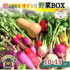 すずなり採れたて野菜BOX(冬野菜セット)100サイズ　