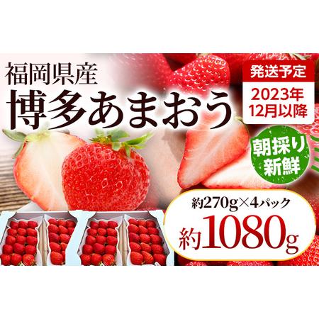 ふるさと納税 農家直送 朝採り新鮮いちご [(約270g)×4パック]＜2023年12月以降順次出荷予定＞ 福岡県田川市