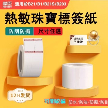 台灣總公司貨 精臣標籤紙 B21pro B31 B21S B1 K3 B4 珠寶標籤貼紙系列 防水防油易撕 標籤紙 現貨