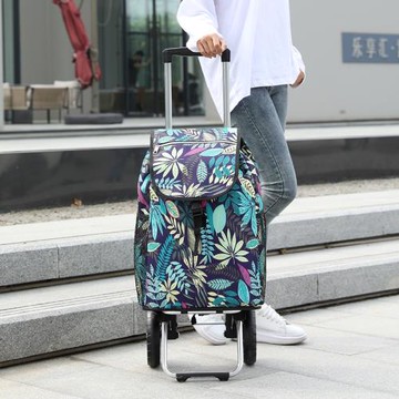 家用老人買菜車相爬樓小拉車拉桿車大輪子保溫購物袋便攜折疊拖車