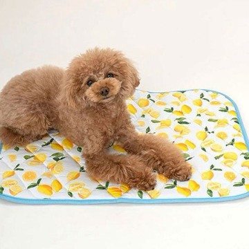新品上架【梨花娘總代理】🐾日本品牌Solgra 🐶接觸冷感・日式絎縫寵物隨行冰涼墊(4色)