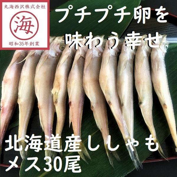 北海道産ししゃもメス30尾　シシャモ　ギフト　柳葉魚