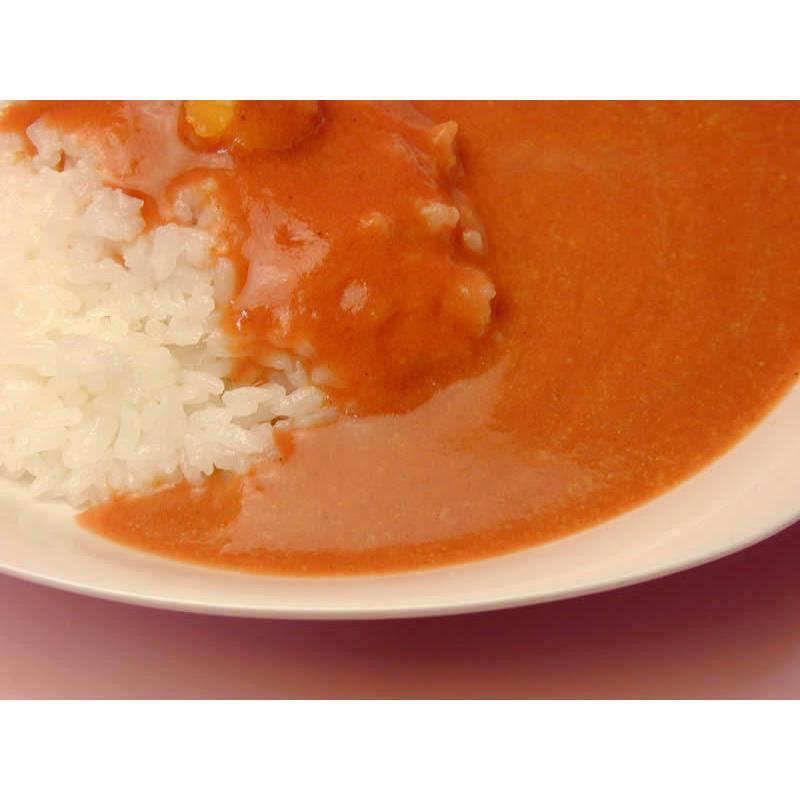 愛媛松山 CLUBHOUSE中須賀 The Curry 中辛200g ５個・甘口 200g ５個合計１０個入り