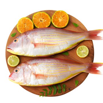 巧莊園嚴選鮮凍海捕金線魚美味組