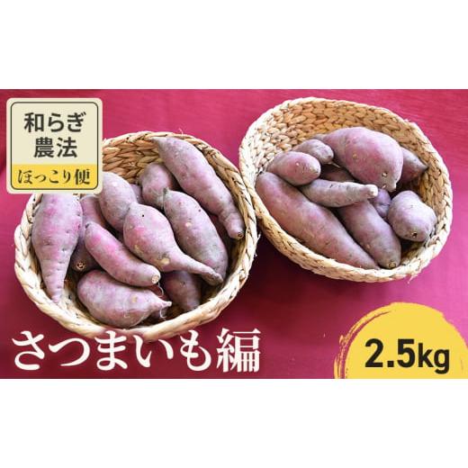 ふるさと納税 滋賀県 栗東市 和らぎ農法　ほっこり便　さつまいも編　2.5kg