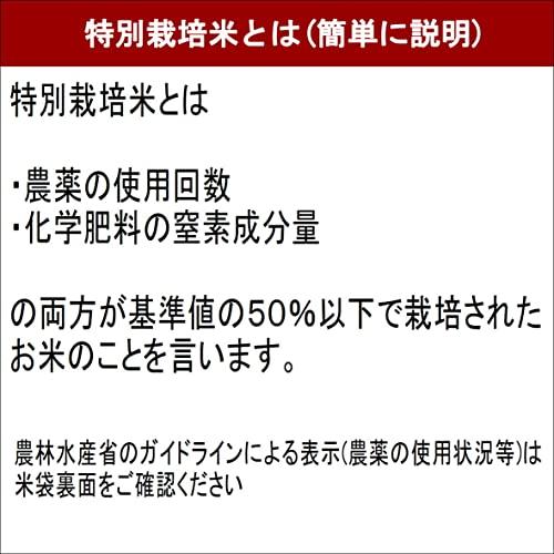 新米 無洗米 令和5年産 ＪＡ阿蘇 特別栽培米こしひかり 10kg(5kg×2袋)