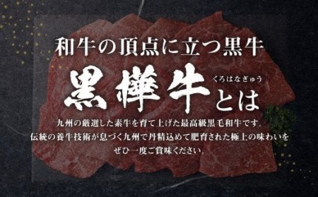 九州産黒毛和牛  杉本本店 黒樺牛 A4~A5等級 モモステーキ 100g×10 計1kg