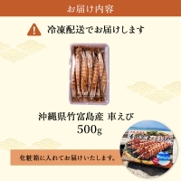 2024年 先行予約 車えび 500g 竹富島産 冷凍 エビ