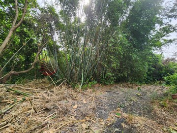 南投市南崗工業區都內田｜南投縣南投市半山段