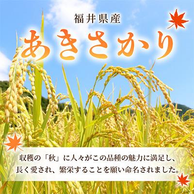 ふるさと納税 越前町 あきさかり 5kg × 3回　福井県産[白米]全3回