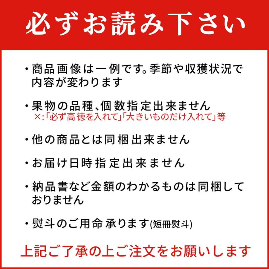 山形elab「旬」のフルーツギフトBOX 約3.2kg 山形県産 果物 贈答 プレゼント 高級 フルーツ 詰め合わせ 送料無料 旬 贈り物 お返し 誕生日 お中元 お歳暮 結婚