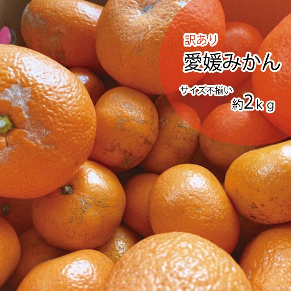 みかん 訳あり 箱買い 愛媛みかん 温州みかん 2ｋｇ 愛媛 みかん 送料無料