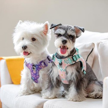 新款優萊仕狗狗護胸胸背碎花貓牽引繩舒適防爆沖寵物用品批發狗繩