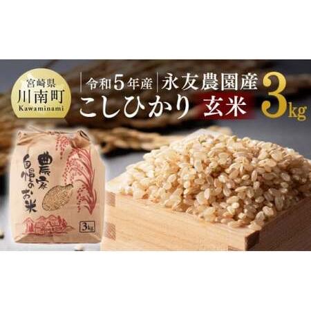 ふるさと納税 永友農園産「こしひかり（玄米）」3kg 【米 お米 白米 玄米 国産お米 米飯 お米 お米 宮崎県産米 コシヒカリ お米 お.. 宮崎県川南町