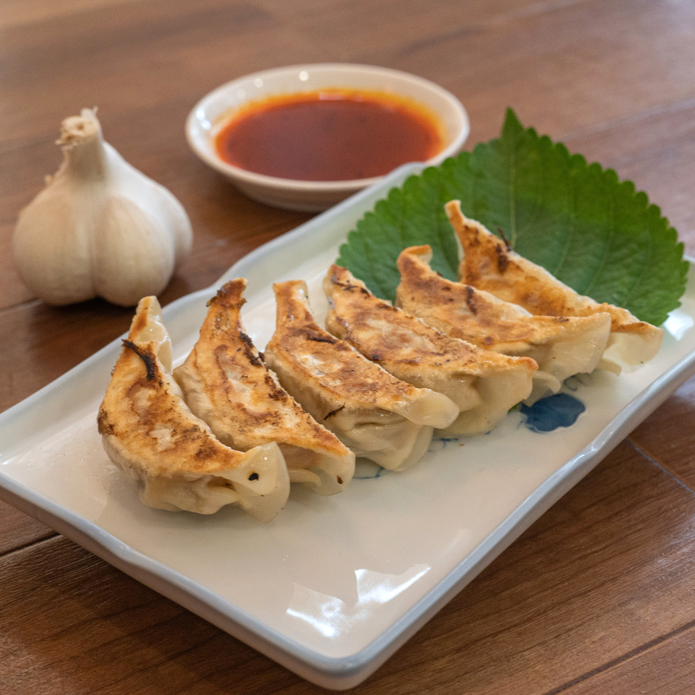 餃子のまーちゃん 富山ポークの餃子と雲呑の詰合せ