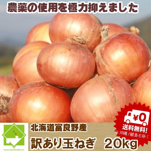 たまねぎ　訳あり２０ｋｇ　送料無料　北海道富良野産