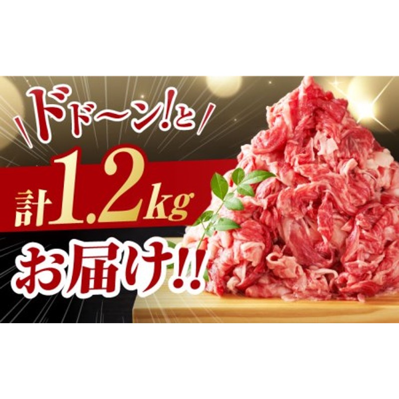 人気急上昇中【訳アリ】佐賀牛 佐賀産和牛 切り落とし 肩orバラ 600g×2