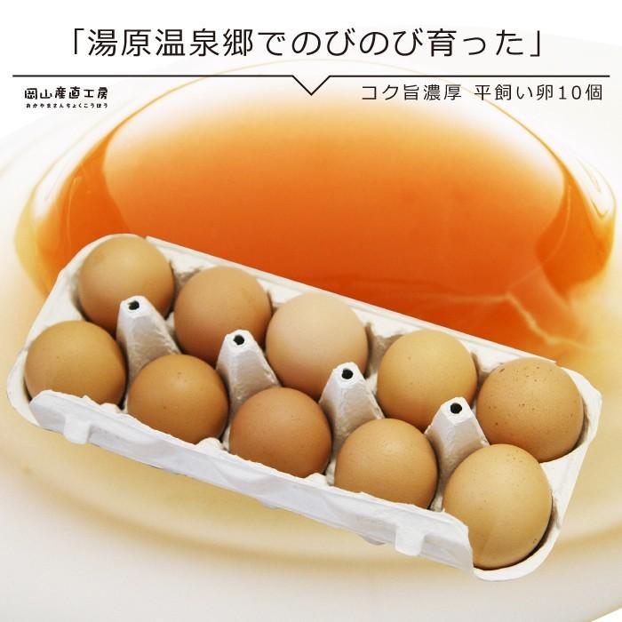 平飼い卵10個入 岡山県湯原温泉郷 味濃いたまご(tamago103)