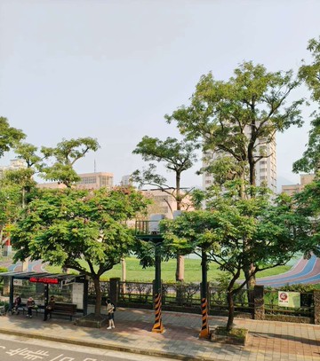 面芝山國小黃金二樓｜台北市士林區德行東路