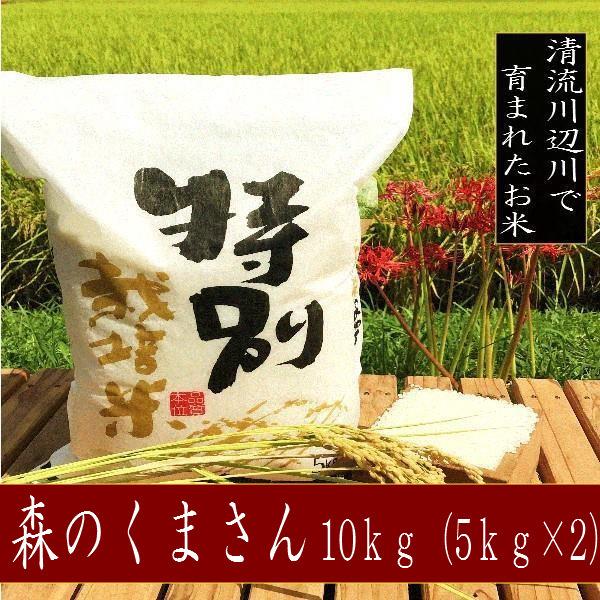 令和5年産新米　森のくまさん 10kg 熊本県産 特別栽培米 　精白米