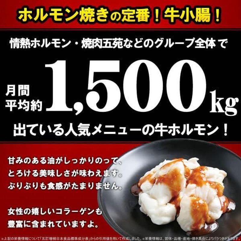 情熱ホルモン 牛ホルモン 味噌だれ漬け お試しセット 600g