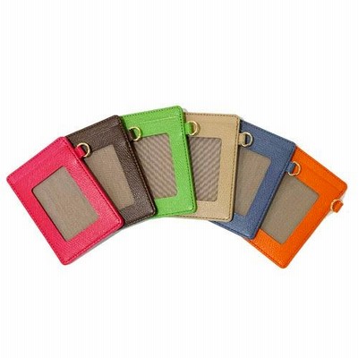 カラーチャート パスケース AAG48 / COLOR CHART 伊東屋