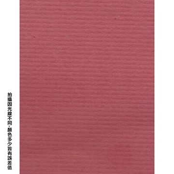 【文具通】四開粉彩紙21 P1330093【APP滿額下單10%點數(單一帳號最高5000點)】1/31止