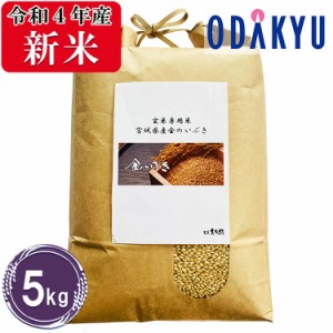 お米 5kg 玄米 米  令和４年産 宮城県産 金のいぶき　米 送料無料　※沖縄・離島届不可