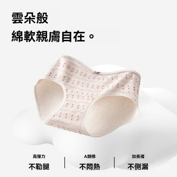 台灣现貨 雲朵棉內褲 無痕內褲 抑菌內褲 輕柔內褲 純棉內褲 防夾臀內褲 彈力內褲 運動內褲 韓係內褲 中高腰內褲
