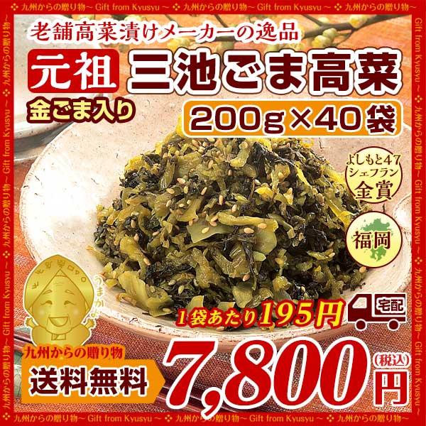 金ごま入り 元祖ごま高菜(200g)X40袋 ウコン塩漬込み高菜漬に焙煎胡麻を加えて仕上げた グルメ 送料無料 食品 ご飯のお供 漬物 b1 漬物 つけもの 送料無料