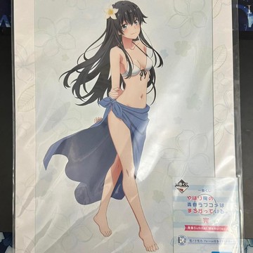 日版 我的青春戀愛物語果然有問題 雪之下雪乃 一色彩羽 插圖版