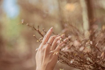 【ONEIDA】Shinee - 閃耀系列鑽戒/戒指