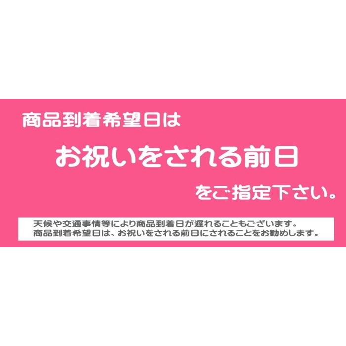 一升餅（ハート２個）★最高級の滋賀羽二重もち★1歳お誕生日(御祝)★背負い餅・一生餅★名入れ無料　shiga2201