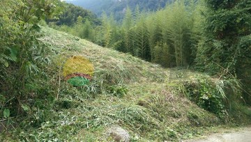 南庄風美段2500坪臨路農牧用地｜苗栗縣南庄鄉風美段