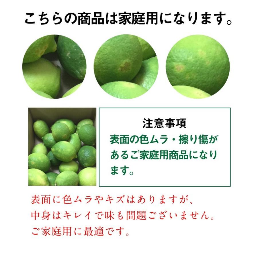 レモン 国産 愛媛 瀬戸内レモンご家庭用 ５kg(42玉前後) 産地直送 ノーワックス・減農薬 J常