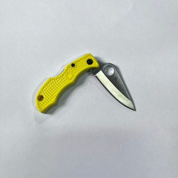 [沐沐屋]Spyderco Ladybug 3 Salt 蜘蛛小瓢蟲折刀 H2鋼 絕對防鏽 輕量隨身鑰匙圈刀-L