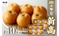 伊万里梨「新高」 10kg (約5kg×2箱)  B166