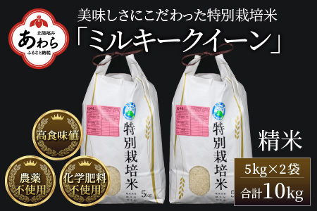 《定期便12回》 特別栽培米 ミルキークイーン 精米 5kg (計60kg)  農薬不使用 化学肥料不使用 ／ 高品質 鮮度抜群 福井県産 ブランド米 白米 あわら産 ブランド米