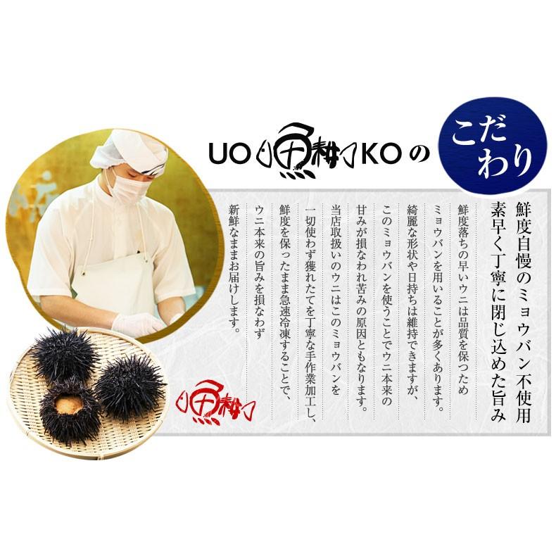 生うに チリ産 ウニ 高品質Aグレード 100g 刺身用 ミョウバン不使用 無添加 冷凍