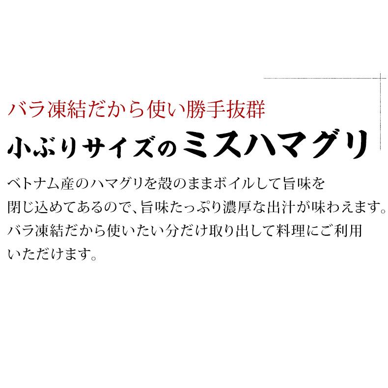 はまぐり 殻付きハマグリ 500g 砂抜き済ですぐ料理に使える！ 殻付はまぐり ミスハマグリ