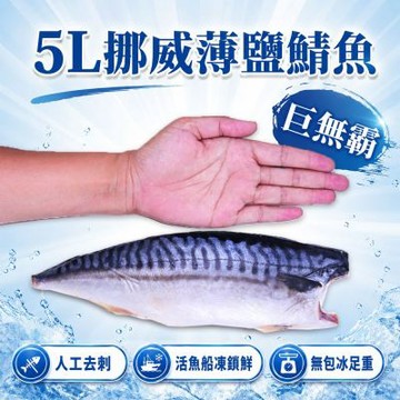 築地一番鮮-5L(特大)挪威薄鹽鯖魚 250gX20片｜單片真空 /旗艦特厚切 /老饕囤貨量販組