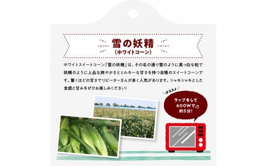  宮崎県産 とうもろこし 大山さんちの ホワイトコーン 雪の妖精 6～8本  [E7105]