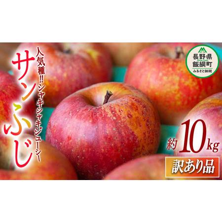 ふるさと納税 りんご サンふじ 訳あり 10kg 沖縄県への配送不可 2023年12月上旬頃から2024年2月下旬頃まで順次発送予定 ふるさと振興公社 長野県.. 長野県飯綱町