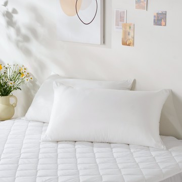 hoi!台灣製大和抗菌水洗枕/枕頭-2入