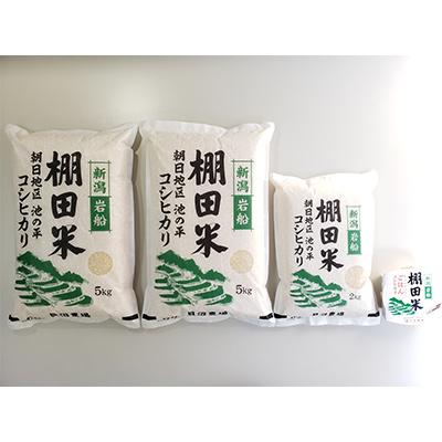 ふるさと納税 村上市 新潟県岩船産12kg  パックごはん(150g×1個)全11回